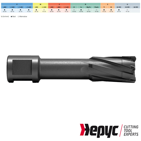 Hepyc Kernboor HSS-HM 48x50mm Weldon